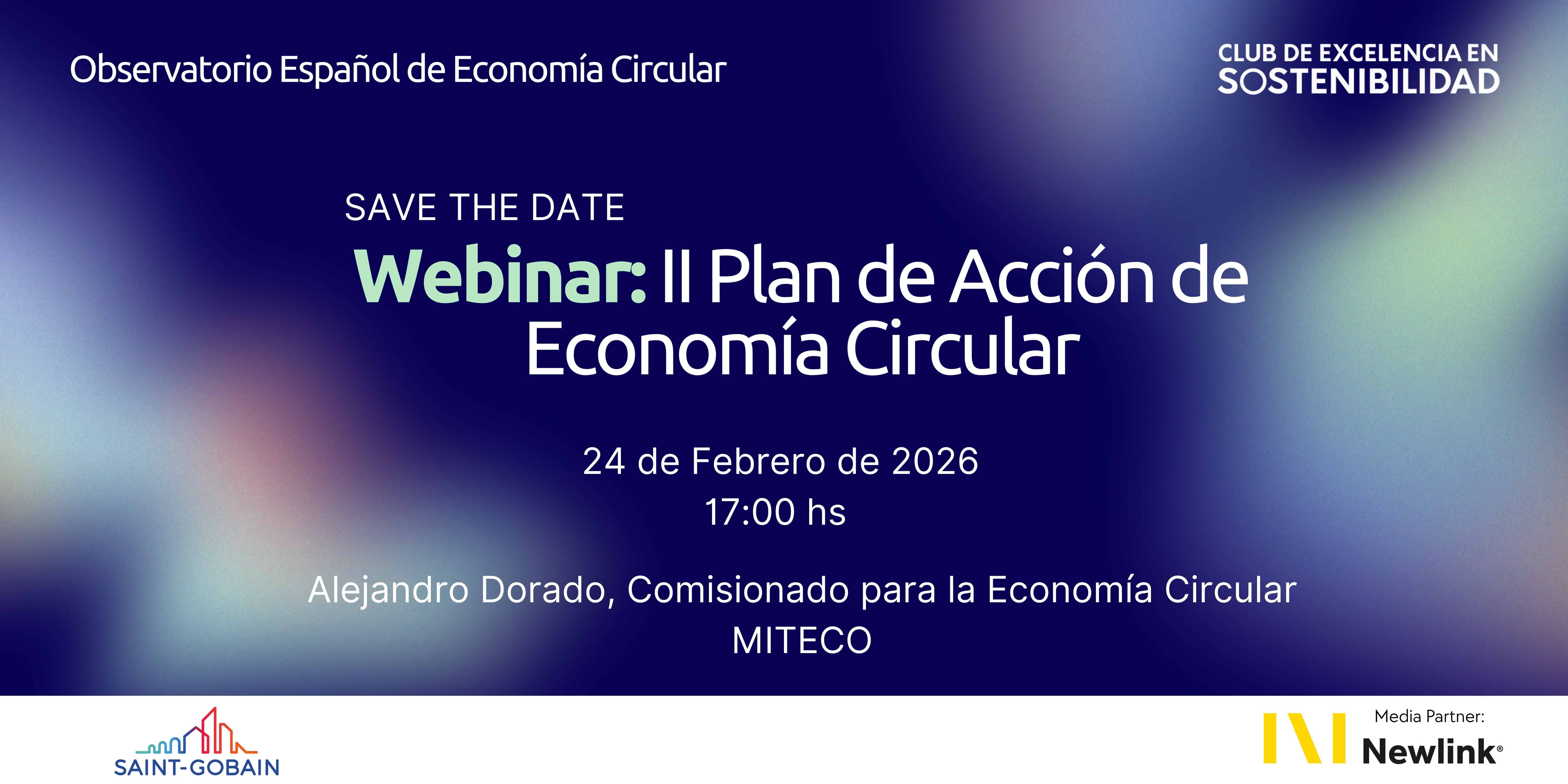 Webinar II Plan de Acción (3)