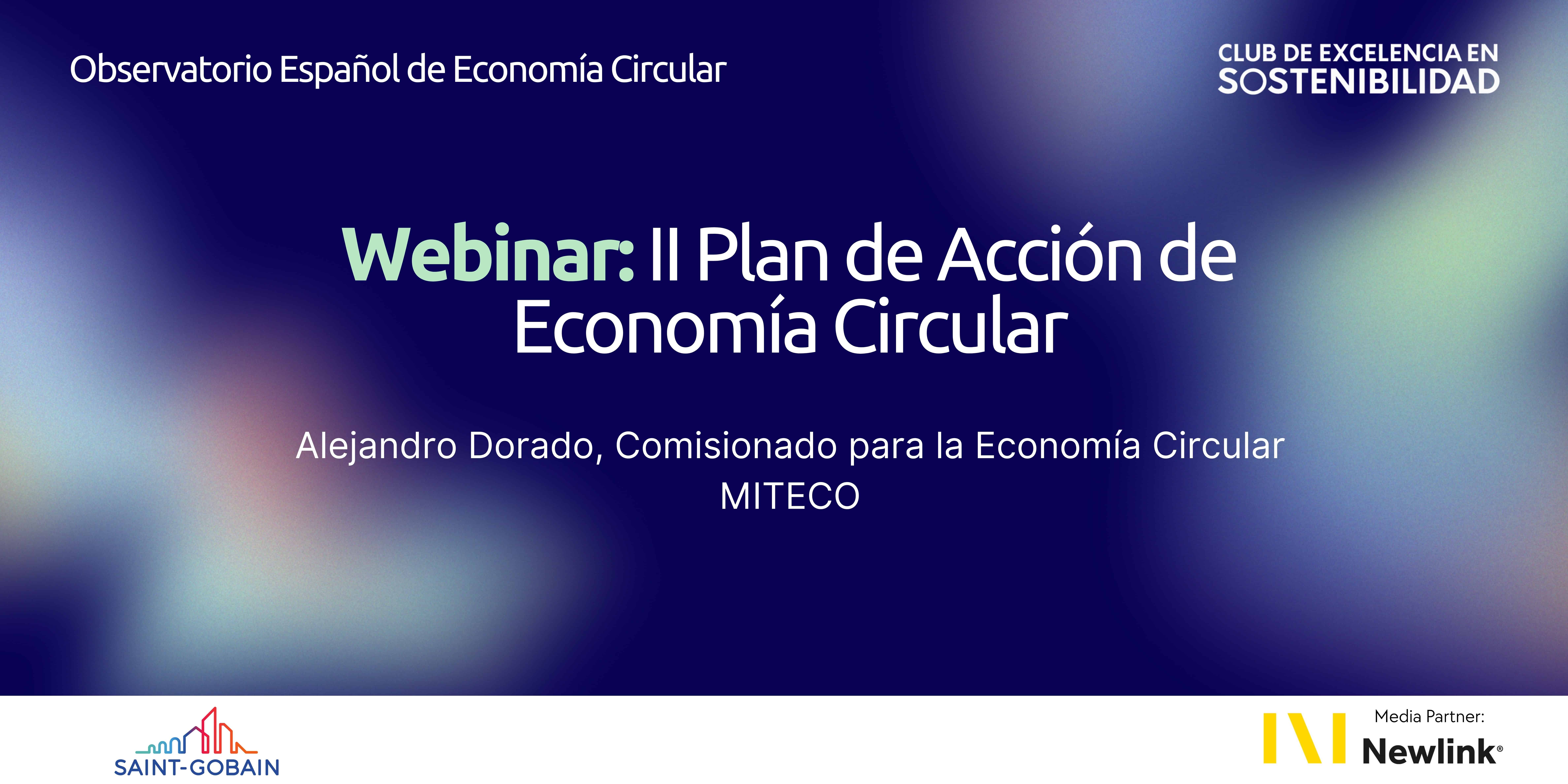 Webinar II Plan de Acción (5)